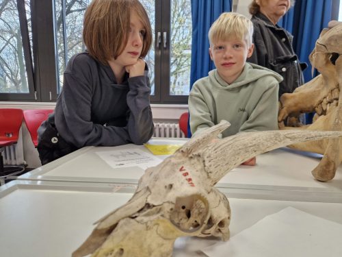 2025_Uwes_Geburtstag_Tagderoffenentuer_ (157)