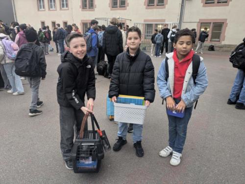 Abitur_2025_Letzter_Tag (38)