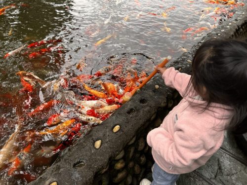 Chengdu_Huanhuaxi Park-min