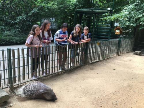 Region mit dem Rad entdecken 2