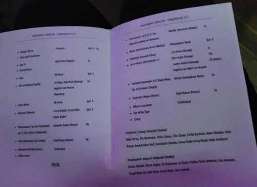 Sommerkonzert_2025_01 (21)