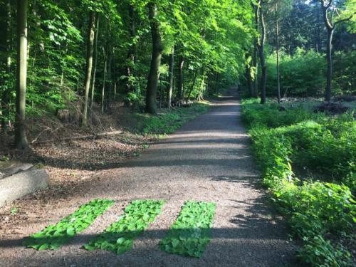 Stop, Zebrastreifen! 2 Hanifi Ince_ergebnis