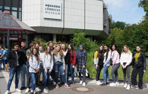 projekttage 2019 aquazoo